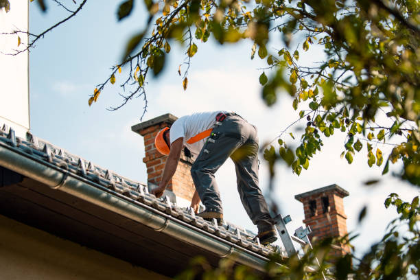 Best Roof Maintenance Services  in Lochsloy, WA